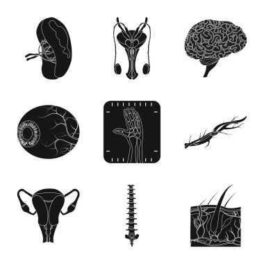 Vücut ve insan logo vektör çizimi. Vücut ve tıbbi hisse senedi vektör çizim.