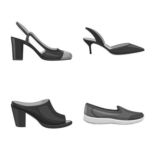 Ilustración vectorial de calzado y símbolo de mujer. Colección de calzado y pie stock vector ilustración . — Vector de stock