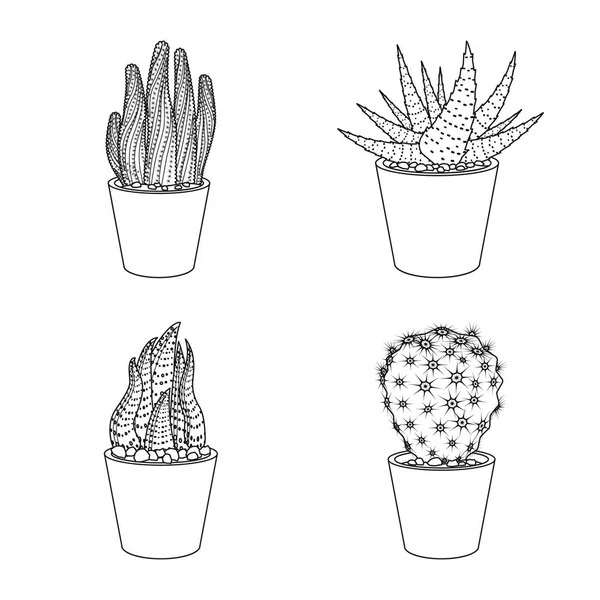 Ilustración vectorial de cactus y pote símbolo. Conjunto de ilustración vectorial de cactus y cactus . — Archivo Imágenes Vectoriales