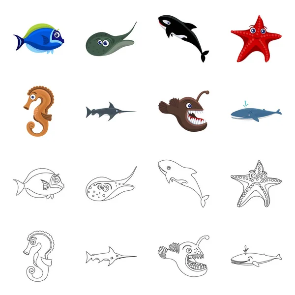 Conception vectorielle de l'icône marine et animale. Illustration vectorielle des stocks marins et marins . — Image vectorielle