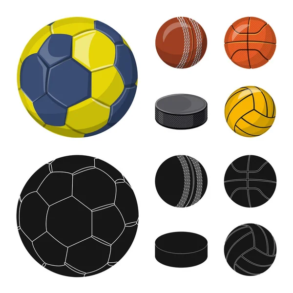 Vector illustration of sport and ball icon. Collection of sport and athletic stock symbol for web. — Stock Vector