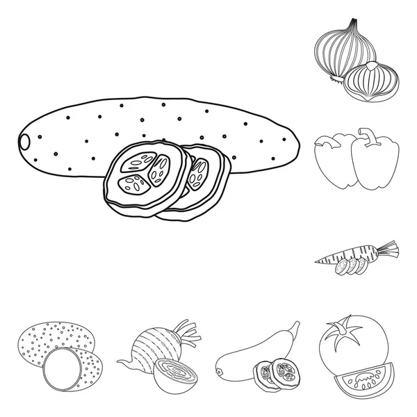 Vector design of vegetable and fruit logo. Set of vegetable and vegetarian stock vector illustration.