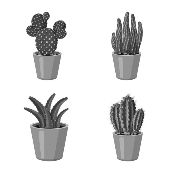 Objeto aislado de cactus e ícono del pote. Colección de cactus y cactus stock vector ilustración . — Archivo Imágenes Vectoriales