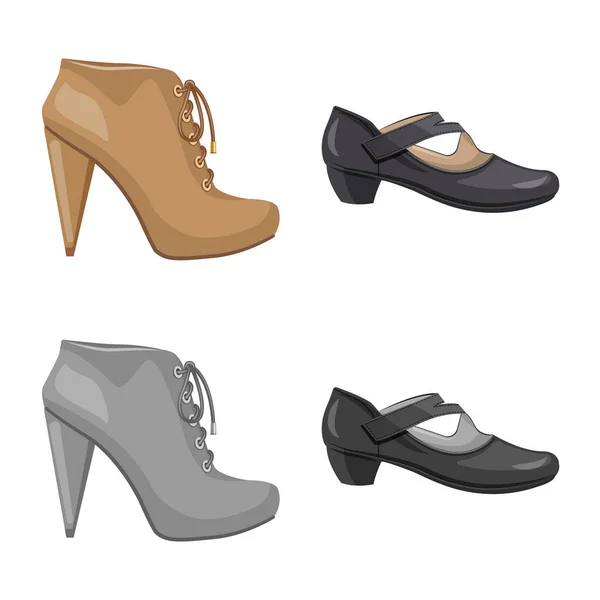 Objeto aislado de calzado y signo de mujer. Conjunto de calzado y pie símbolo de stock para web . — Archivo Imágenes Vectoriales