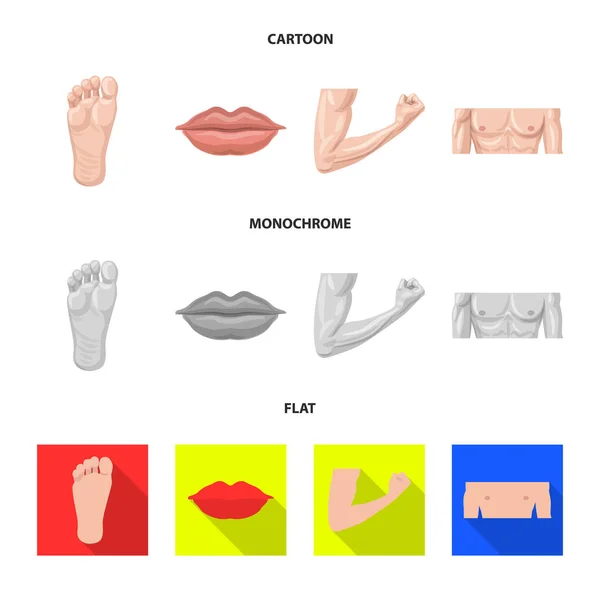 Progettazione vettoriale del segno umano e parziale. Set di icone vettoriali umane e femminili per magazzino . — Vettoriale Stock