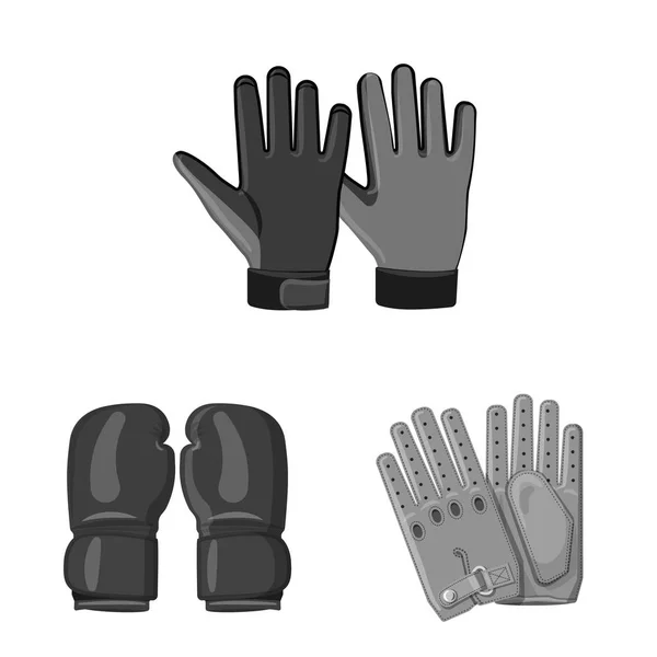 Objeto aislado de guante e icono de invierno. Juego de guante y equipo vector icono para stock . — Vector de stock