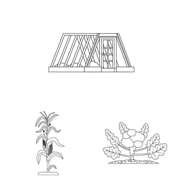 Векторна ілюстрація теплиці та рослинного знаку. Колекція парникових і садових векторних значків на складі . — стоковий вектор