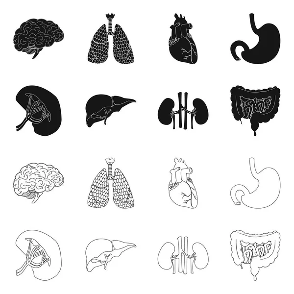 Illustration vectorielle du corps et icône humaine. Ensemble d'illustration vectorielle du corps et du stock médical . — Image vectorielle