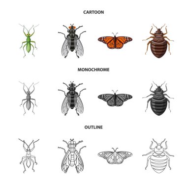 Böcek ve sinek simge vektör tasarımı. Böcek ve öğe vektör simgesini hissenin topluluğu.
