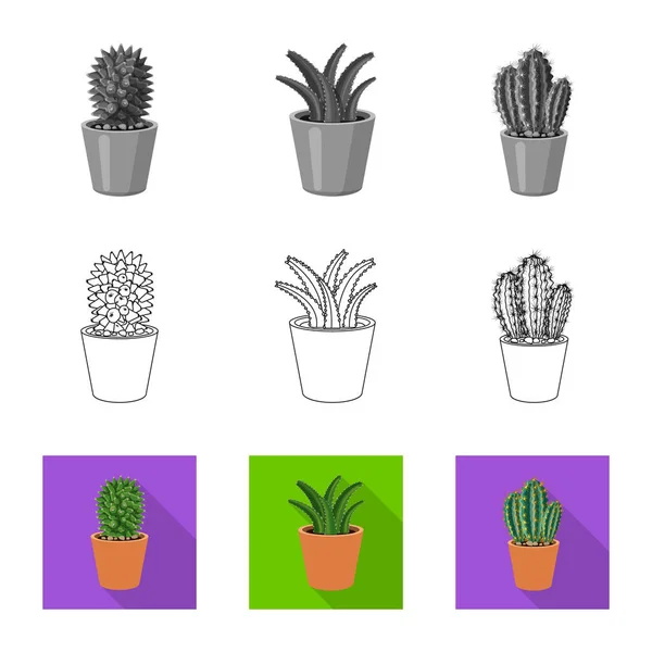 Vektor design av kaktus och potten logotyp. Uppsättning cactus och kaktusar lager vektorillustration. — Stock vektor