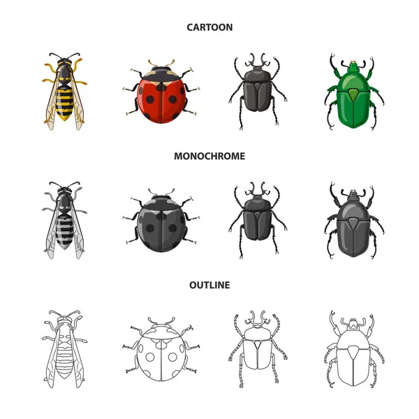 Conception vectorielle de l'icône insecte et mouche. Collection d'icônes vectorielles d'insectes et d'éléments pour le stock . — Image vectorielle