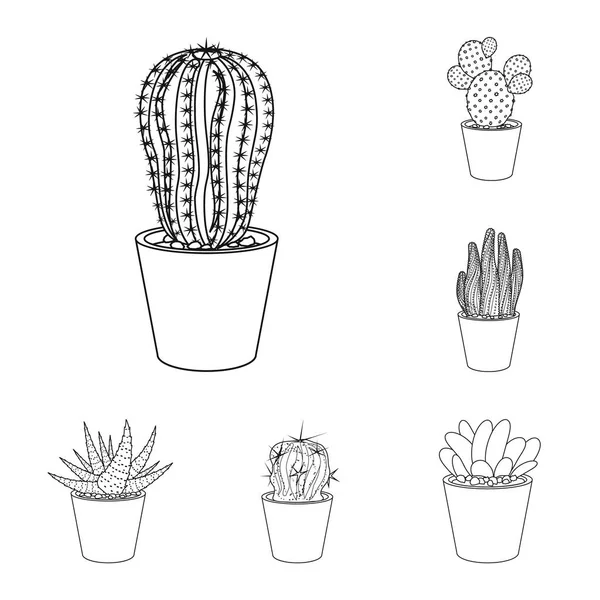 Isolerade objekt av kaktus och potten symbol. Samling av kaktus och kaktusar stock symbol för webben. — Stock vektor