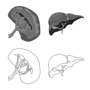 Vücut ve insan logo vektör çizimi. Vücut ve web için tıbbi hisse senedi simgesi toplama.
