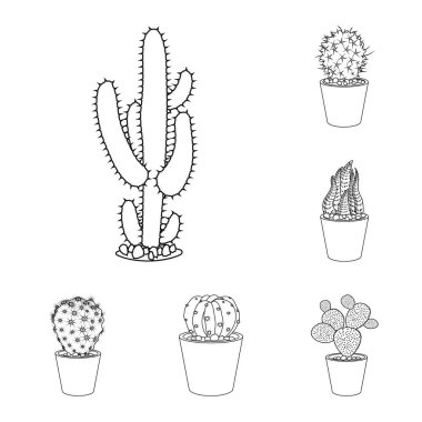 Bir kaktüs ve pot işaret illüstrasyon vektör. Kaktüs ve kaktüsler koleksiyonu stok web simgesi.