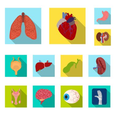 Vücut ve insan simge vektör tasarımı. Vücut ve web için tıbbi hisse senedi simgesi.