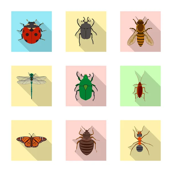 Objeto aislado del logotipo de insectos y moscas. Conjunto de insecto y elemento stock vector ilustración . — Vector de stock