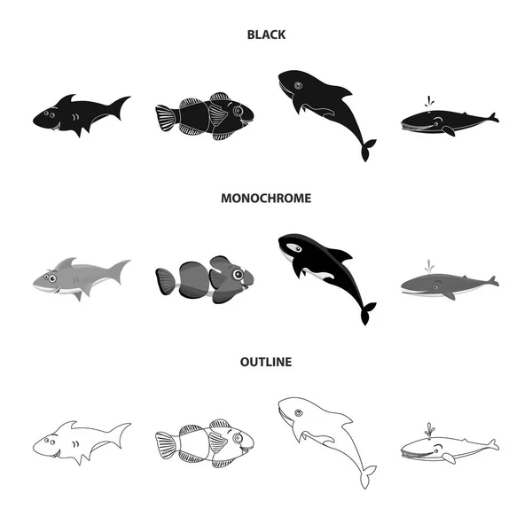 Diseño vectorial de mar y símbolo animal. Colección de ilustración de vectores marinos y marinos . — Archivo Imágenes Vectoriales