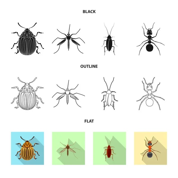 곤충과 비행 로그인의 벡터 그림입니다. 주식에 대 한 곤충 및 요소 벡터 아이콘의 컬렉션. — 스톡 벡터