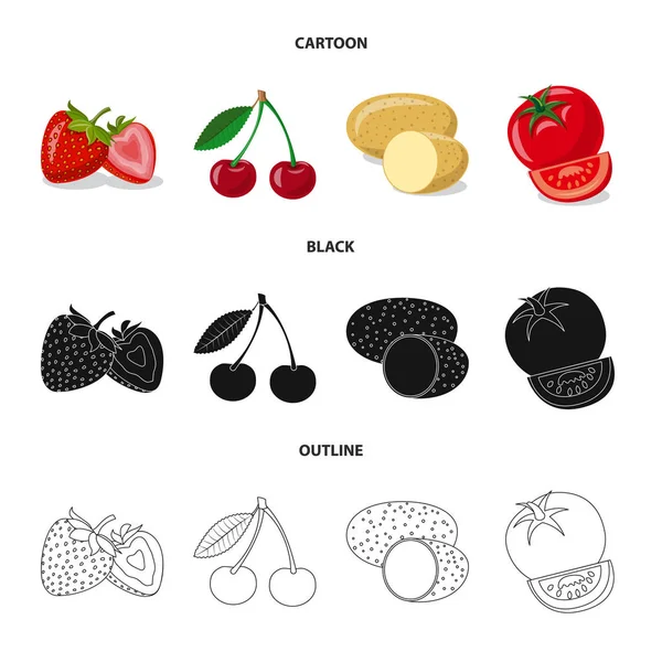 Diseño vectorial de símbolo vegetal y frutal. Conjunto de vegetal y vegetariano símbolo de stock para la web . — Vector de stock