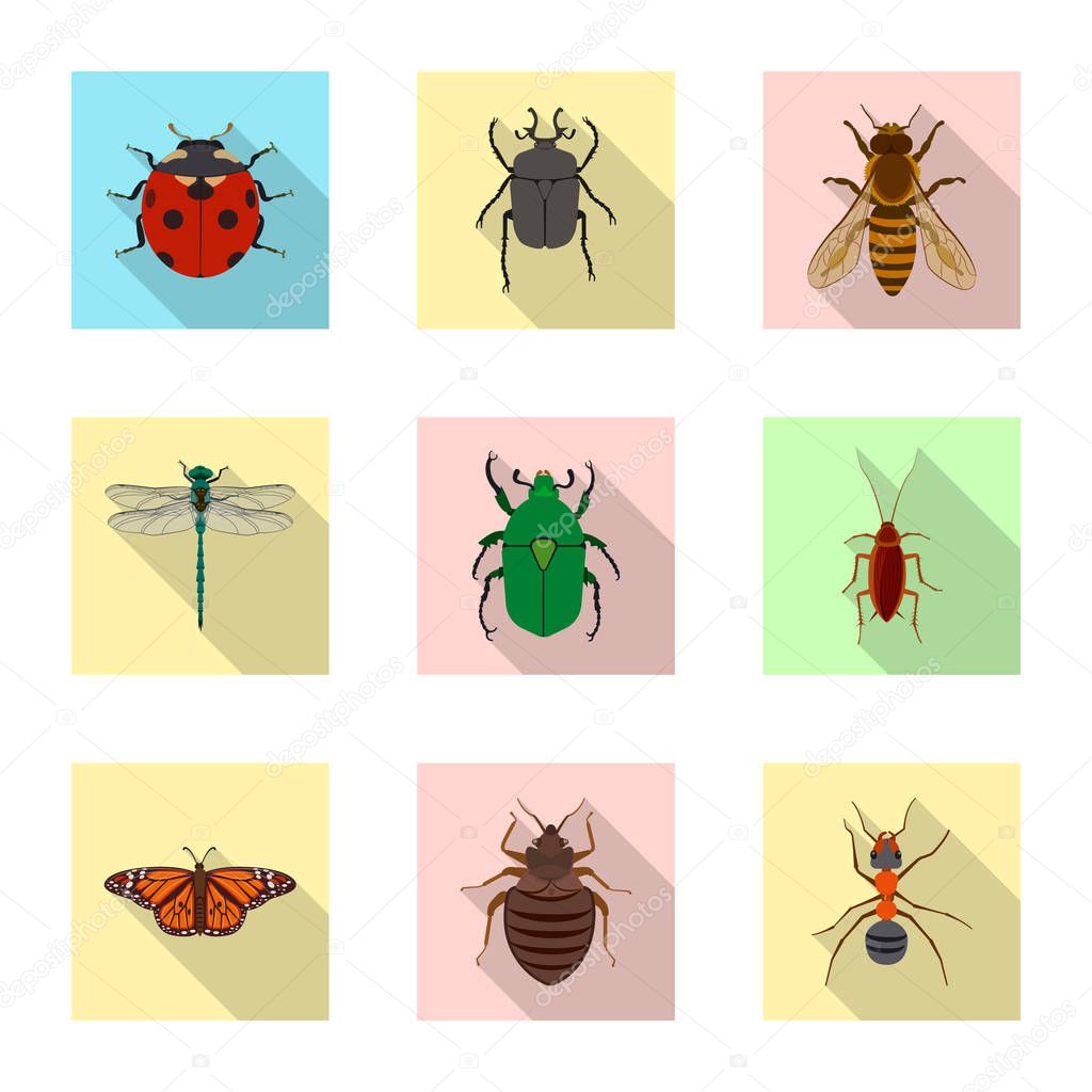 Vector design of insect and fly icon. Collection of insect and element vector icon for stock.