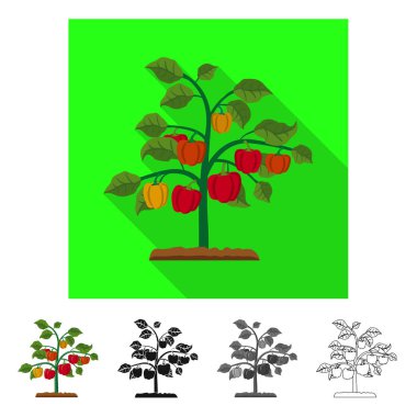 Sera ve bitki simgesi yalıtılmış nesne. Sera ve Bahçe hisse senedi simgesi için web topluluğu.