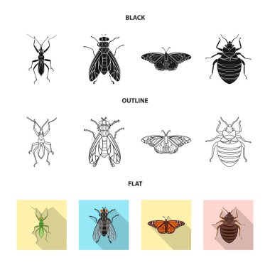 Böcek ve sinek simge vektör Illustration. Böcek ve öğe hisse senedi vektör çizim seti.