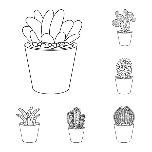 Ilustración vectorial de cactus e ícono del pote. Colección de cactus y cactus símbolo de stock para web . — Archivo Imágenes Vectoriales