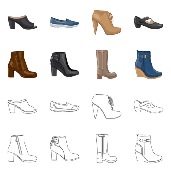 Objeto aislado de calzado y logotipo de mujer. Colección de calzado y pie símbolo de stock para la web . — Vector de stock