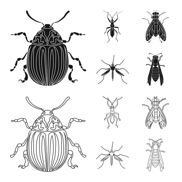 Projekt Wektor Znak Owadów Mucha Zbiór Owadów Element Stockowa Ilustracja — Wektor stockowy