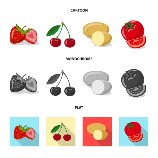 Desenho vetorial do ícone de vegetais e frutas. Coleção de ícone vetorial vegetal e vegetariano para estoque . — Vetor de Stock