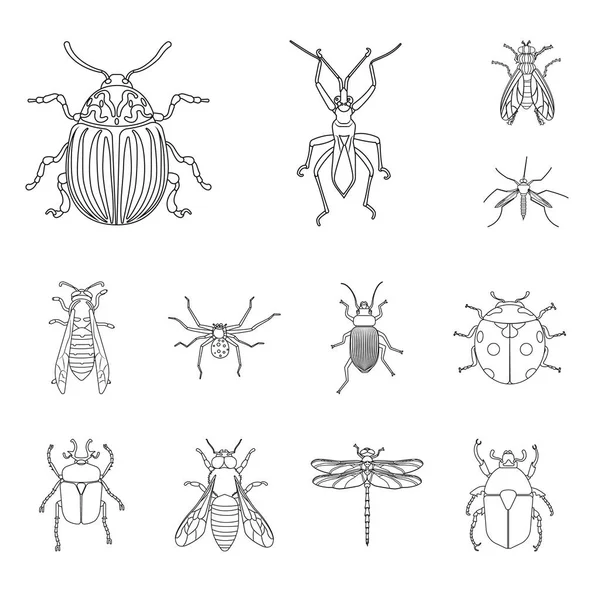 Conception vectorielle du logo insecte et mouche. Collecte d'insectes et d'éléments illustration vectorielle de stock . — Image vectorielle