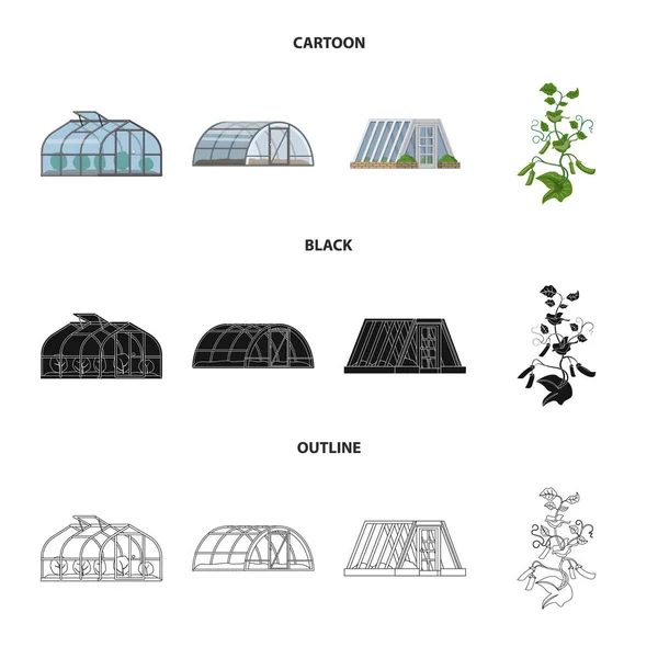 Векторный дизайн логотипа теплицы и растения. Коллекция векторной иконки теплицы и сада на складе . — стоковый вектор