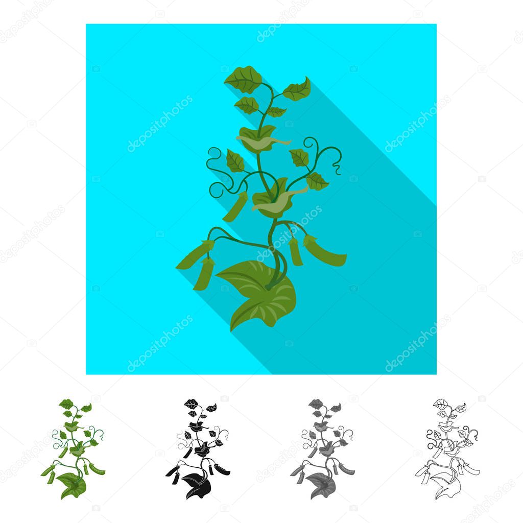 Isolated object of greenhouse and plant symbol. Set of greenhouse and garden stock symbol for web.
