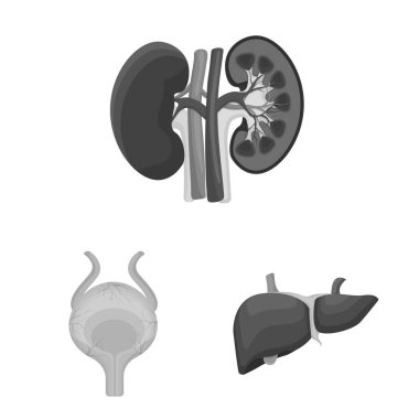 Vücut ve insan simge vektör çizimi. Vücut ve hisse senedi için tıbbi vektör ikon koleksiyonu.