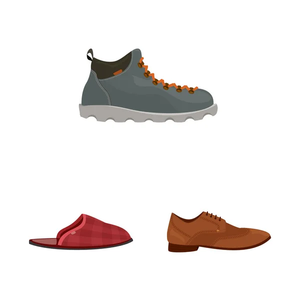 Diseño vectorial de zapato y calzado icono. Colección de zapatos y pies stock vector ilustración . — Vector de stock