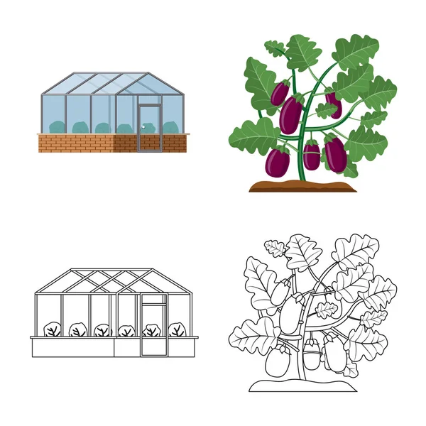 Vektor-Design von Gewächshaus und Pflanzen-Symbol. Reihe von Gewächshäusern und Garten Stock Vektor Illustration. — Stockvektor