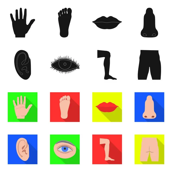 Desenho vetorial de signo humano e parcial. Coleção de símbolo de estoque humano e mulher de web . — Vetor de Stock
