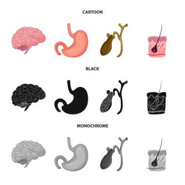 Vücut ve insan simge vektör Illustration. Vücut ve hisse senedi için tıbbi vektör ikon koleksiyonu.