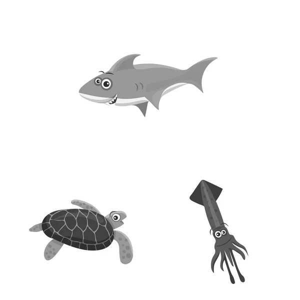 Ilustração vetorial do logotipo do mar e do animal. Coleção de mar e símbolo de estoque marinho de web . — Vetor de Stock