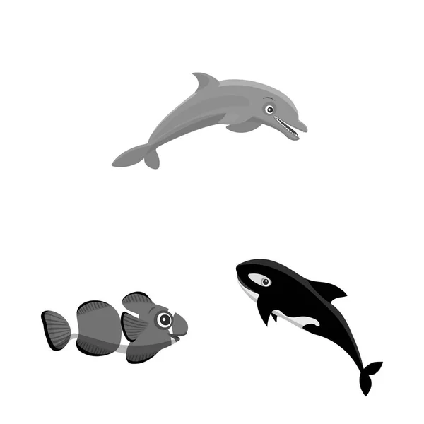Objeto aislado del icono del mar y los animales. Conjunto de símbolo de stock marino y marino para web . — Archivo Imágenes Vectoriales