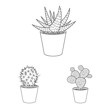 Kaktüs ve pot simge vektör Illustration. Kaktüs ve web için kaktüsler hisse senedi simgesi.