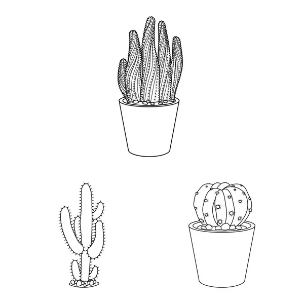 Objet isolé de cactus et icône de pot. Collection de cactus et de cactus illustration vectorielle de stock . — Image vectorielle