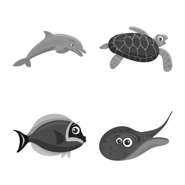 Ilustração vetorial do símbolo do mar e do animal. Conjunto de símbolo de estoque marítimo e marítimo para web . — Vetor de Stock