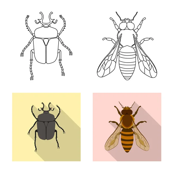 Ilustração vetorial de inseto e logotipo da mosca. Coleção de ilustração vetorial de estoque de insetos e elementos . —  Vetores de Stock