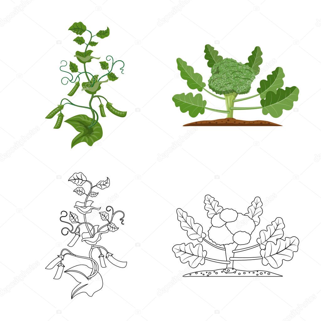 Isolated object of greenhouse and plant symbol. Collection of greenhouse and garden stock symbol for web.