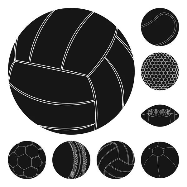 Ilustración vectorial del deporte y el signo de pelota. Conjunto de deporte y el icono del vector deportivo para la acción . — Vector de stock
