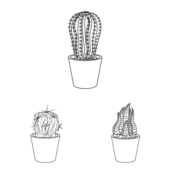 Ilustración vectorial de cactus y signo de maceta. Colección de cactus y cactus símbolo de stock para web . — Archivo Imágenes Vectoriales