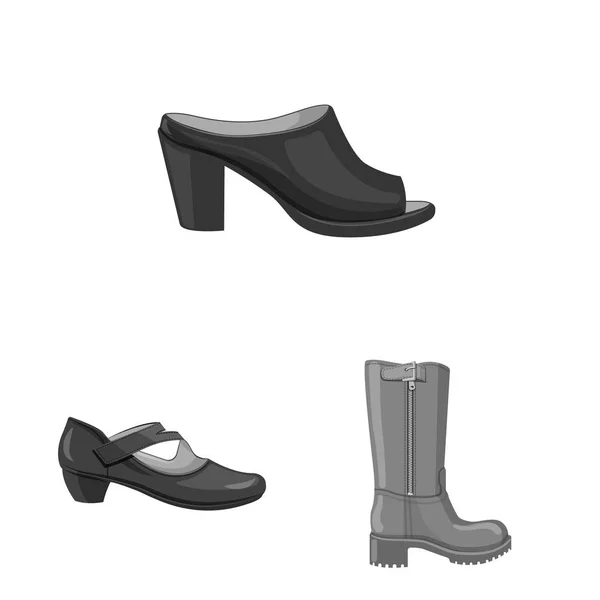 Diseño vectorial de calzado y mujer icono. Conjunto de calzado y pie símbolo de stock para web . — Vector de stock