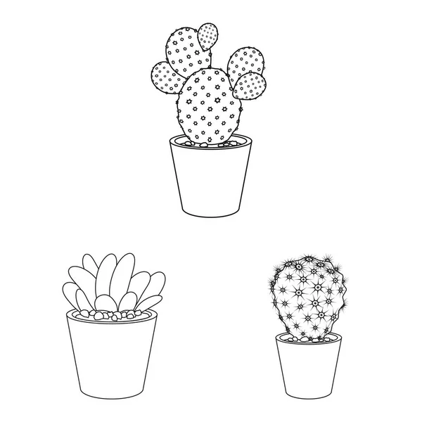 Conception vectorielle du cactus et du symbole du pot. Collection de cactus et de cactus symbole stock pour le web . — Image vectorielle