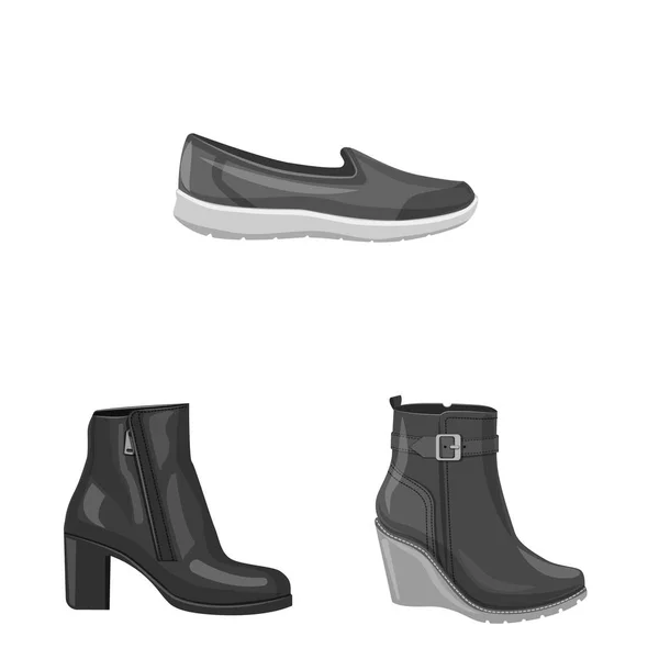 Geïsoleerde object van schoeisel en vrouw logo. Set van schoeisel en voet voorraad vectorillustratie. — Stockvector